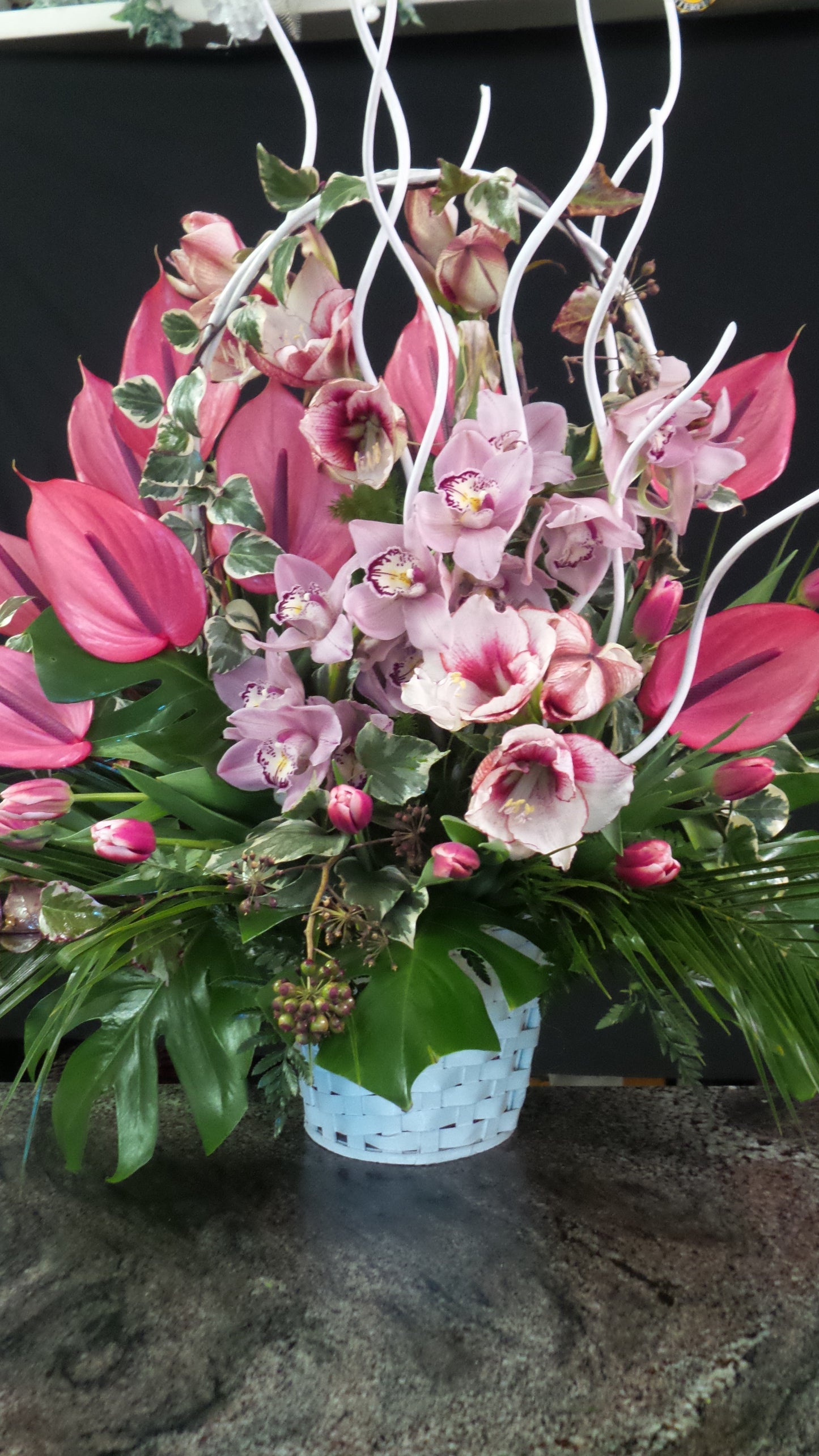 Cestino anthurium