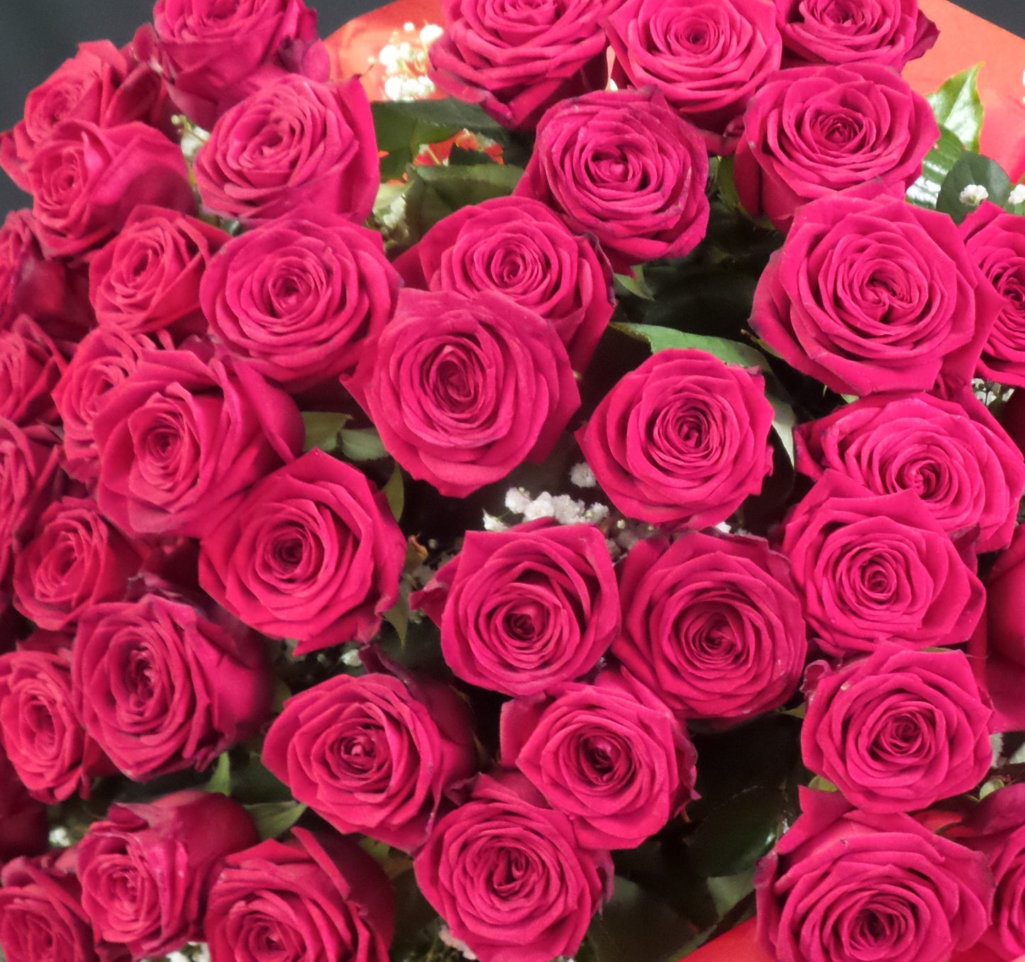 Rose gambo medio in confezione a numero