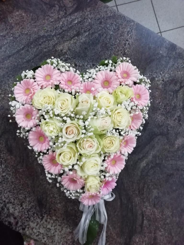 Cuore gerbere rosa