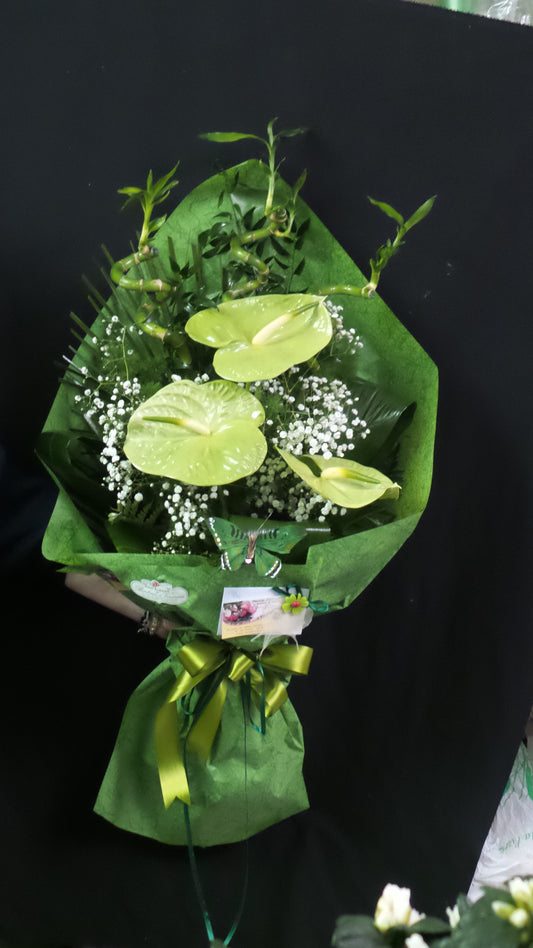Fascio anthurium e bambù