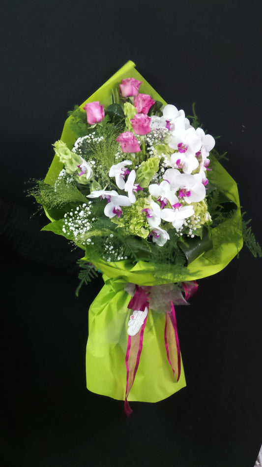 Fascio stilizzato phalaenopsis