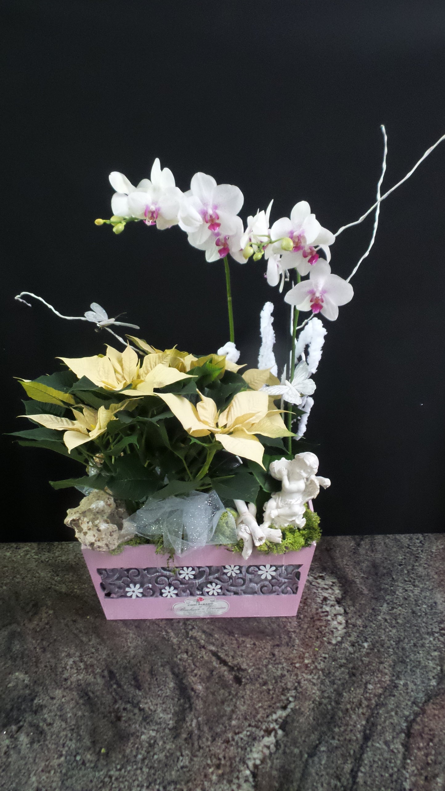 Orchidea e mix piantine in cesto regalo